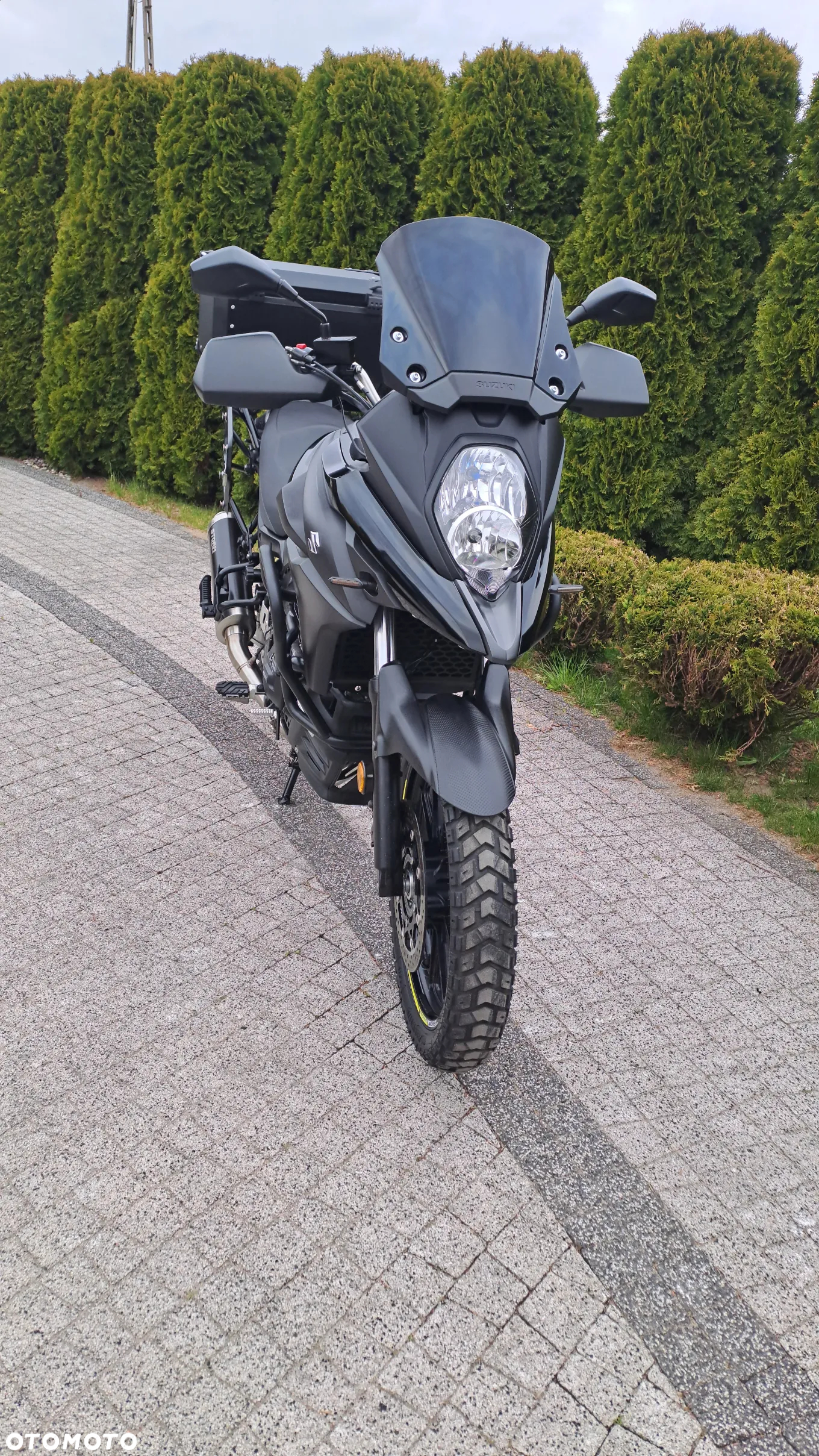 Suzuki DL - 7