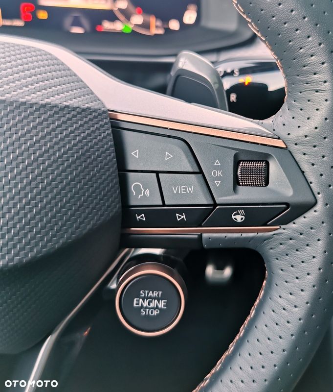 Cupra Terramar 2.0 TSI 4Drive VZ DSG - 15