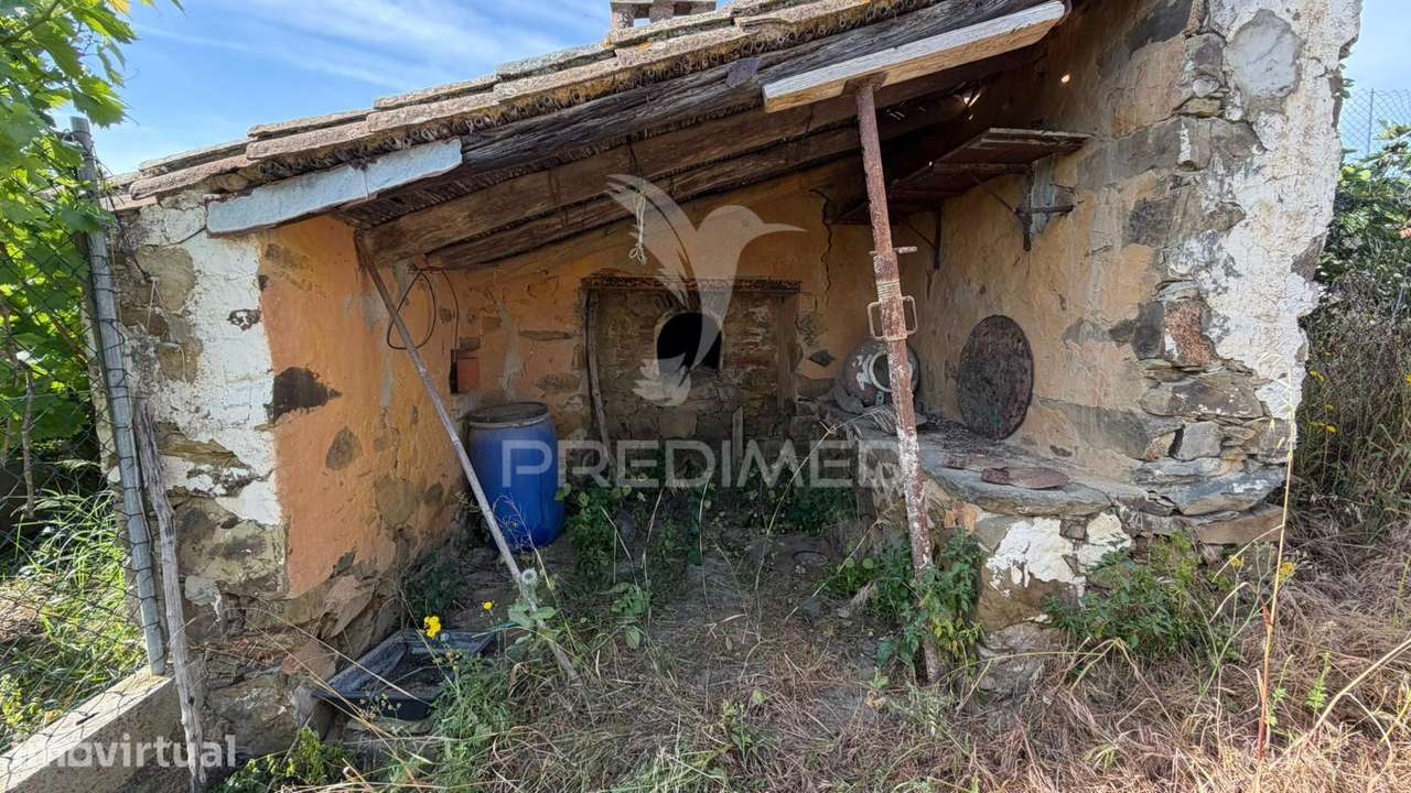 Casa térrea para recuperação total. Com quintal - Grande imagem: 2/21