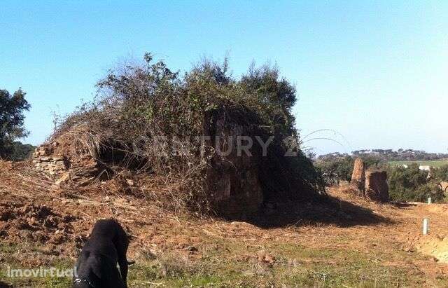 Herdade da Afeiteira - Grande imagem: 2/8