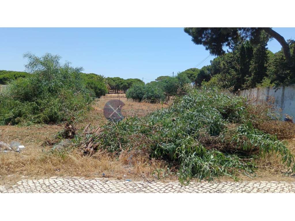 Lote de terreno para venda em Santa Eulália, a poucos minutos a pé ... - Vista 6