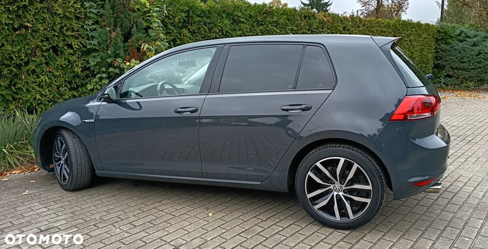 Volkswagen Golf - 19