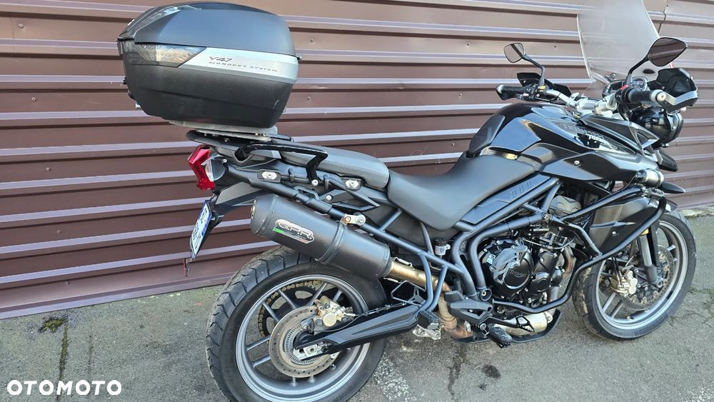 Triumph Tiger - 5