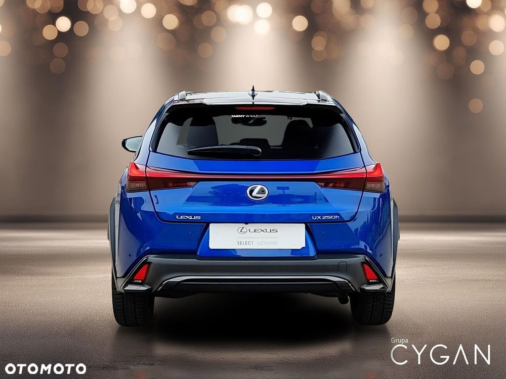 Lexus UX 250h GPF F Sport Design 2WD - 6