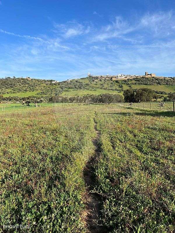 Terreno  para venda - Grande imagem: 2/7