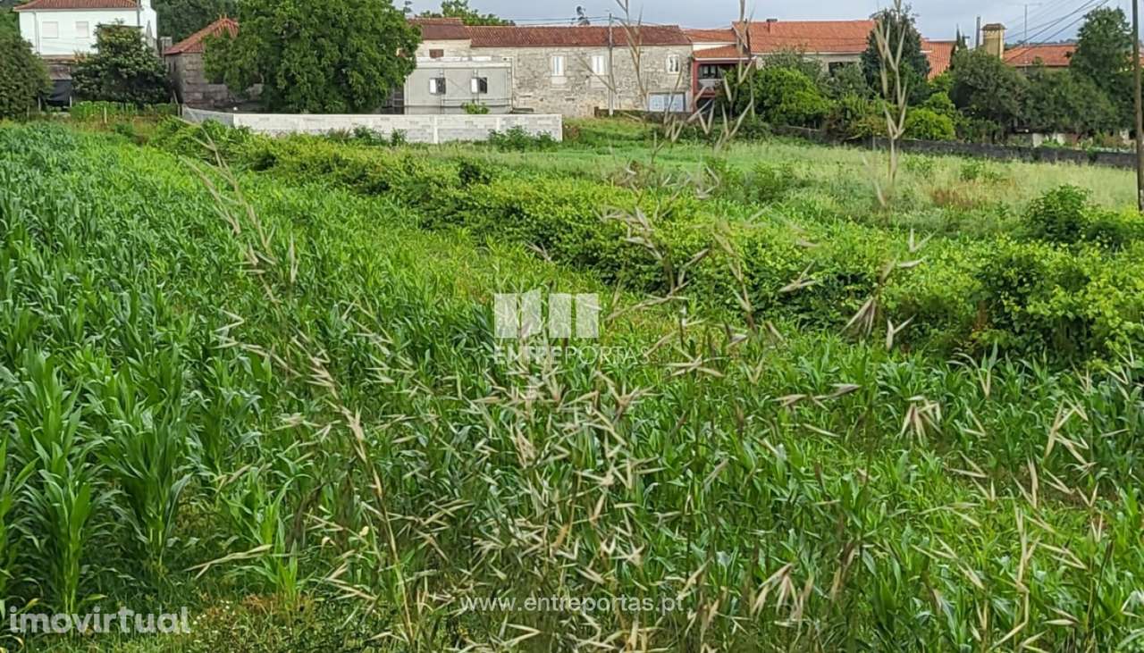 Venda de Terreno, Vila Nova de Anha, Viana do Castelo - Grande imagem: 5/25