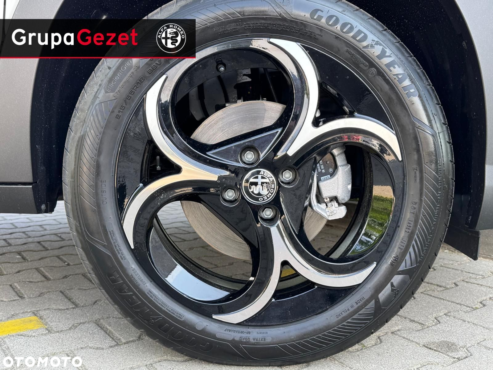 Alfa Romeo Junior - 23