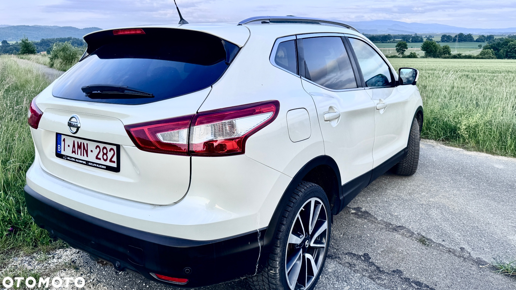 Nissan Qashqai 1.6 dCi 4x4 360 S&S - 16