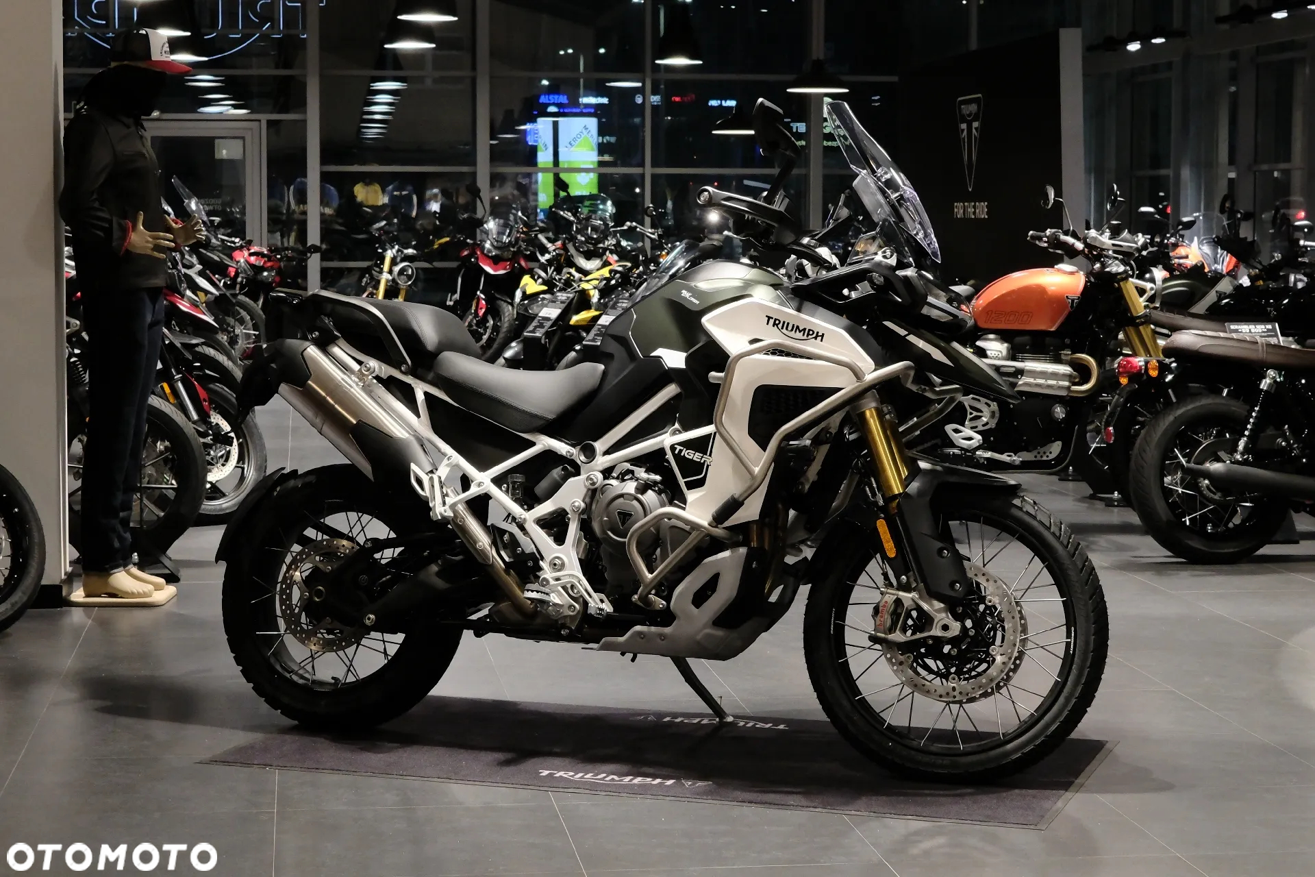 Triumph Tiger - 2