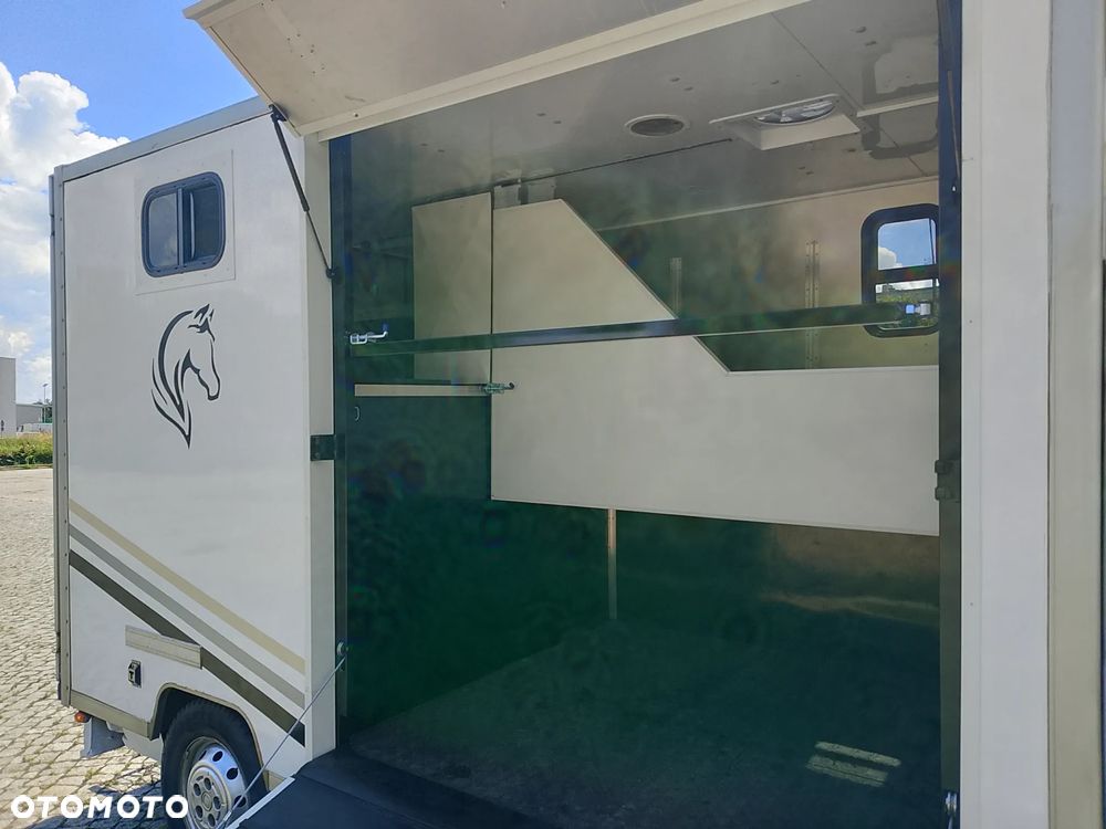 Fiat Ducato Koniowóz - 12