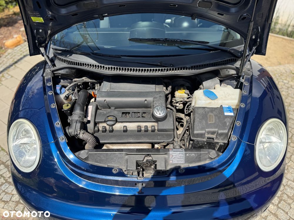 Volkswagen New Beetle 1.4 United - 16