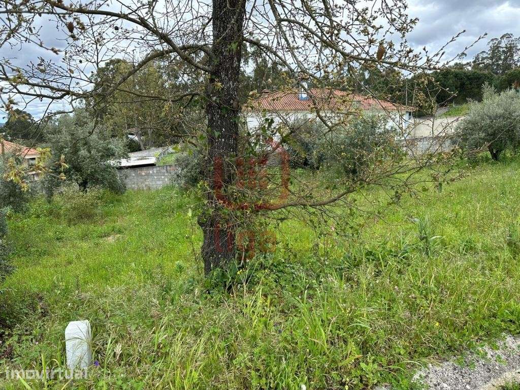 Terreno C/Viabilidade de construção! - Grande imagem: 3/5