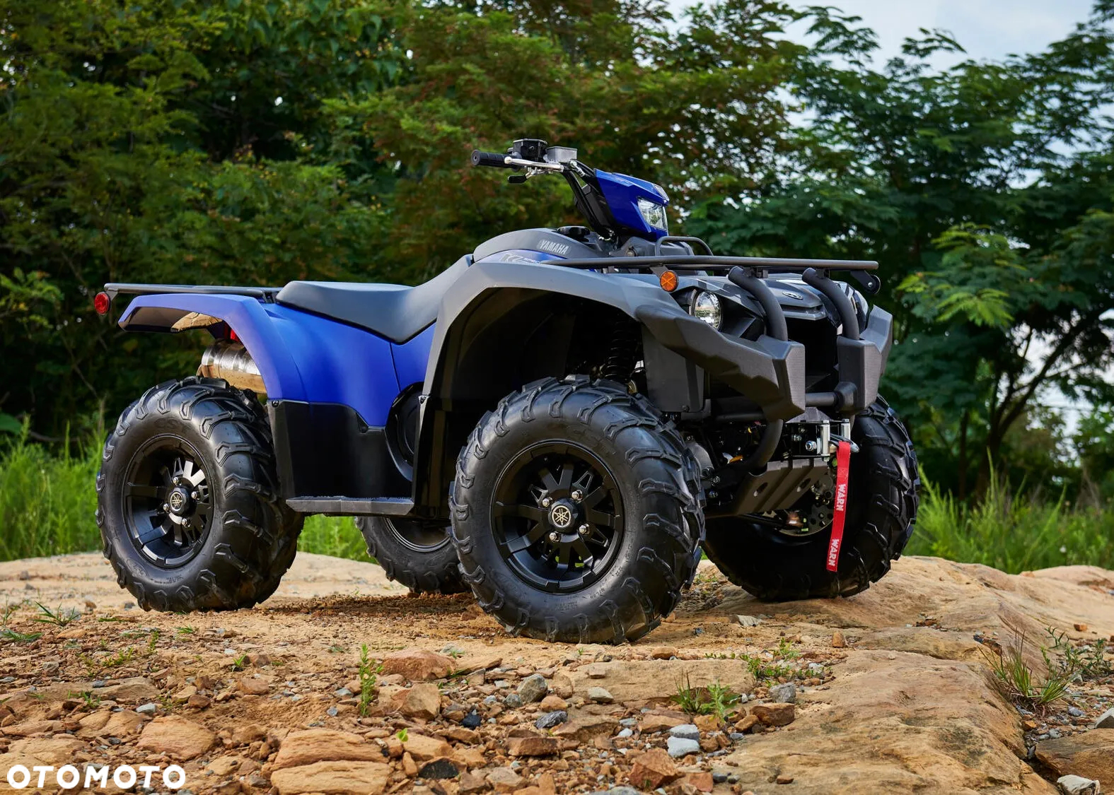 Yamaha Kodiak - 6