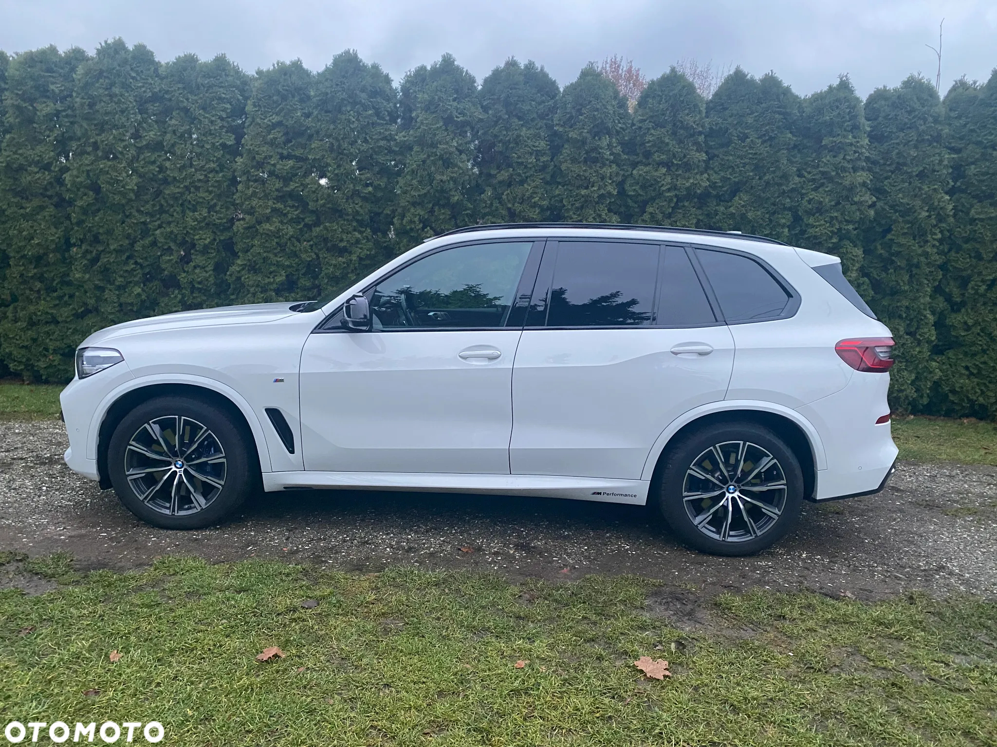 BMW X5 xDrive30d sport - 2