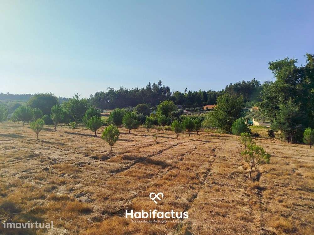 Terreno para venda com Cerca de 1 Hectare  – Tondela - Grande imagem: 5/11