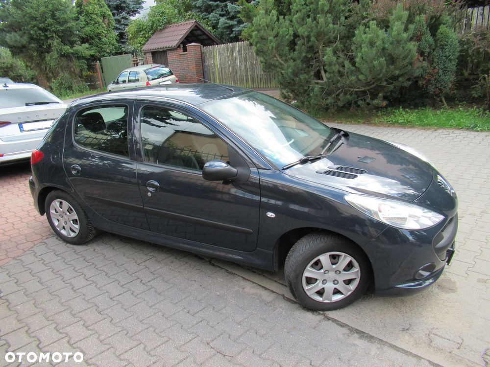 Peugeot 206 plus 60 - 7