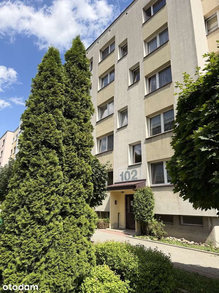 3-pokojowe mieszkanie z dużym balkonem – ul. Rodzinna, Kłodzko 50,90m²