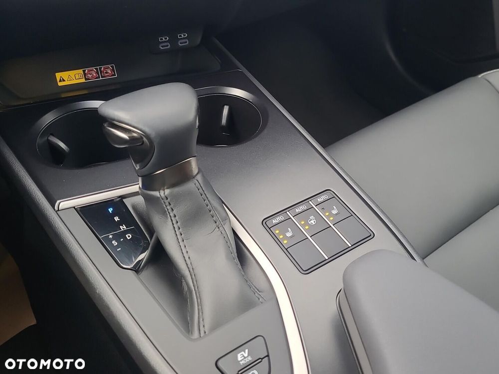 Lexus UX 250h GPF F Sport Design 2WD - 20