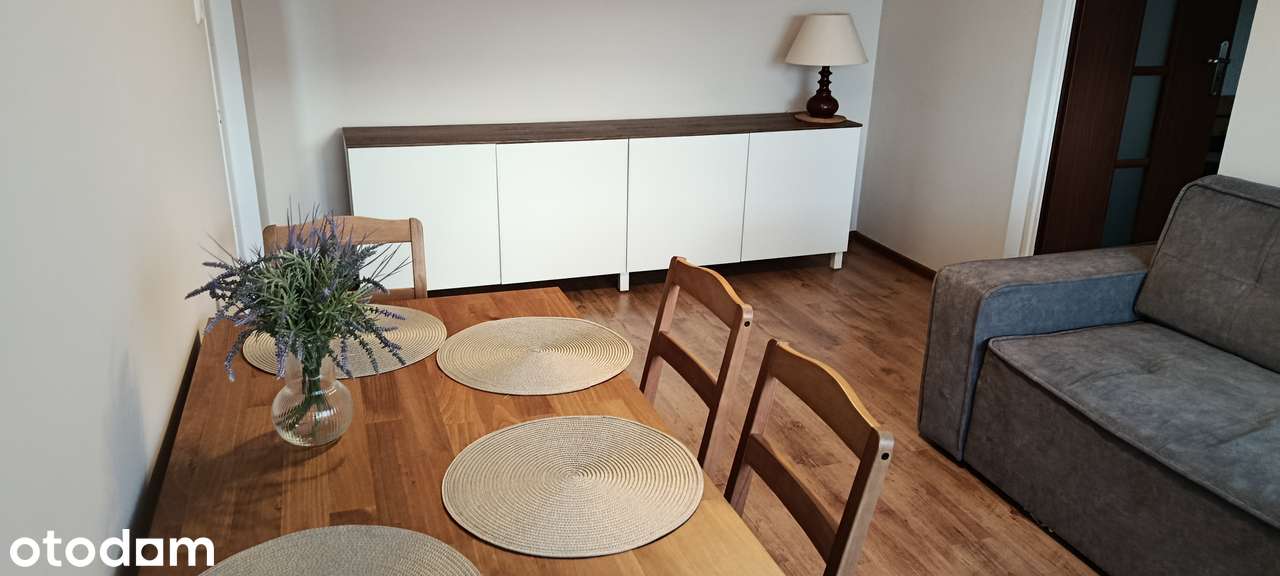 Do wynajęcia 2-pokojowe , 37,5m2 , Łódź ul. Matejki 8.