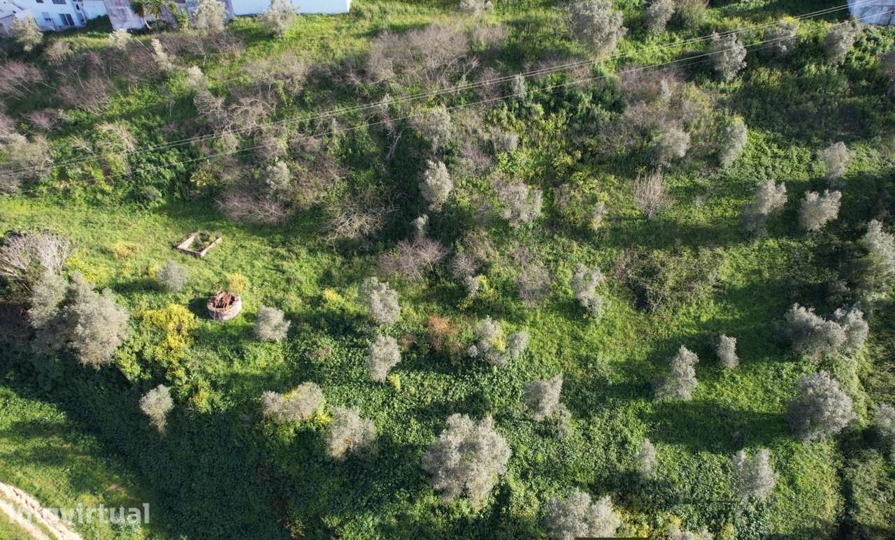 Terreno Rústico  Venda em Santarém (Marvila), Santa Iria da Ribeira de - Grande imagem: 5/6