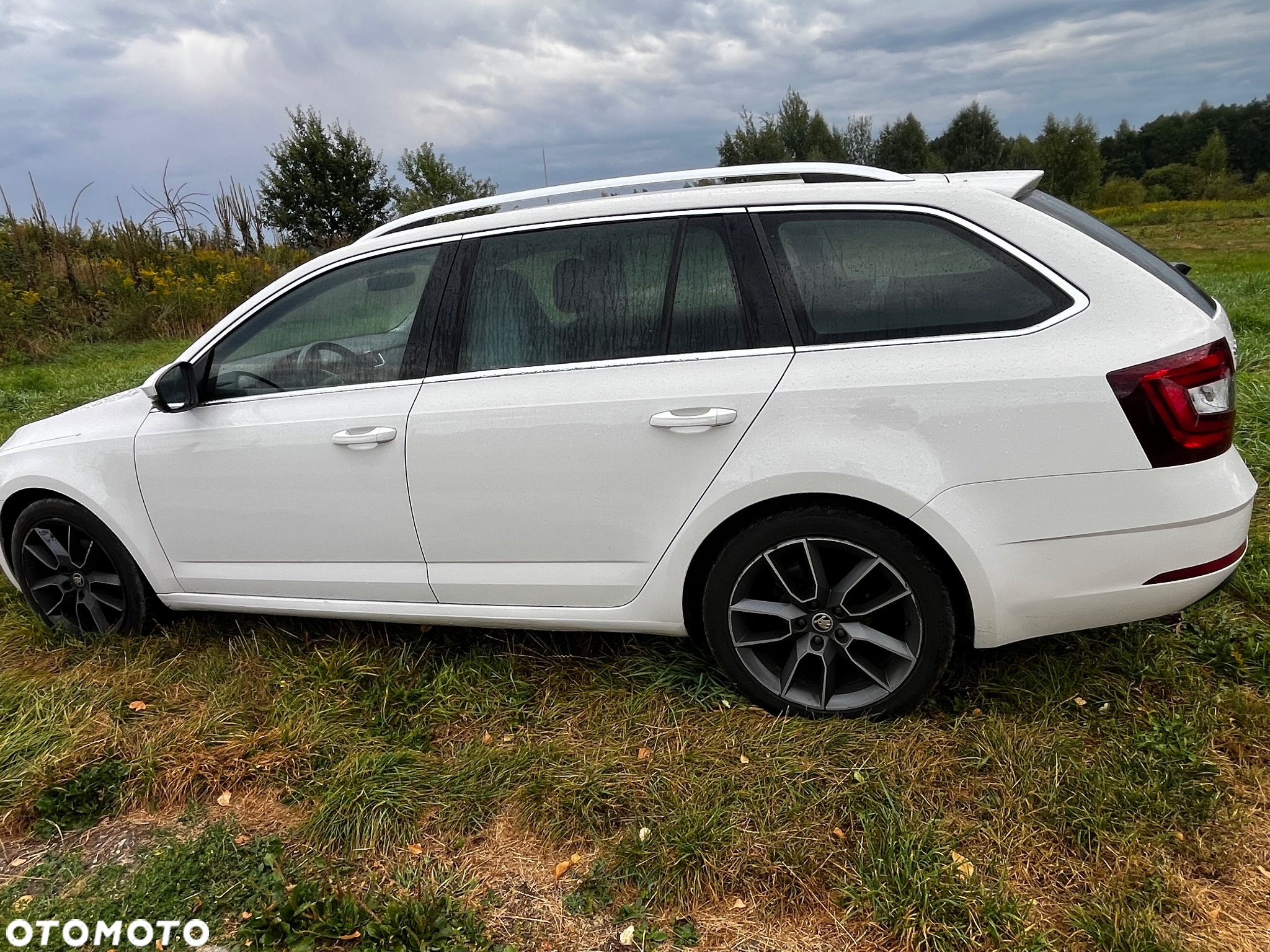 Skoda Octavia 1.6 TDI Style DSG - 4