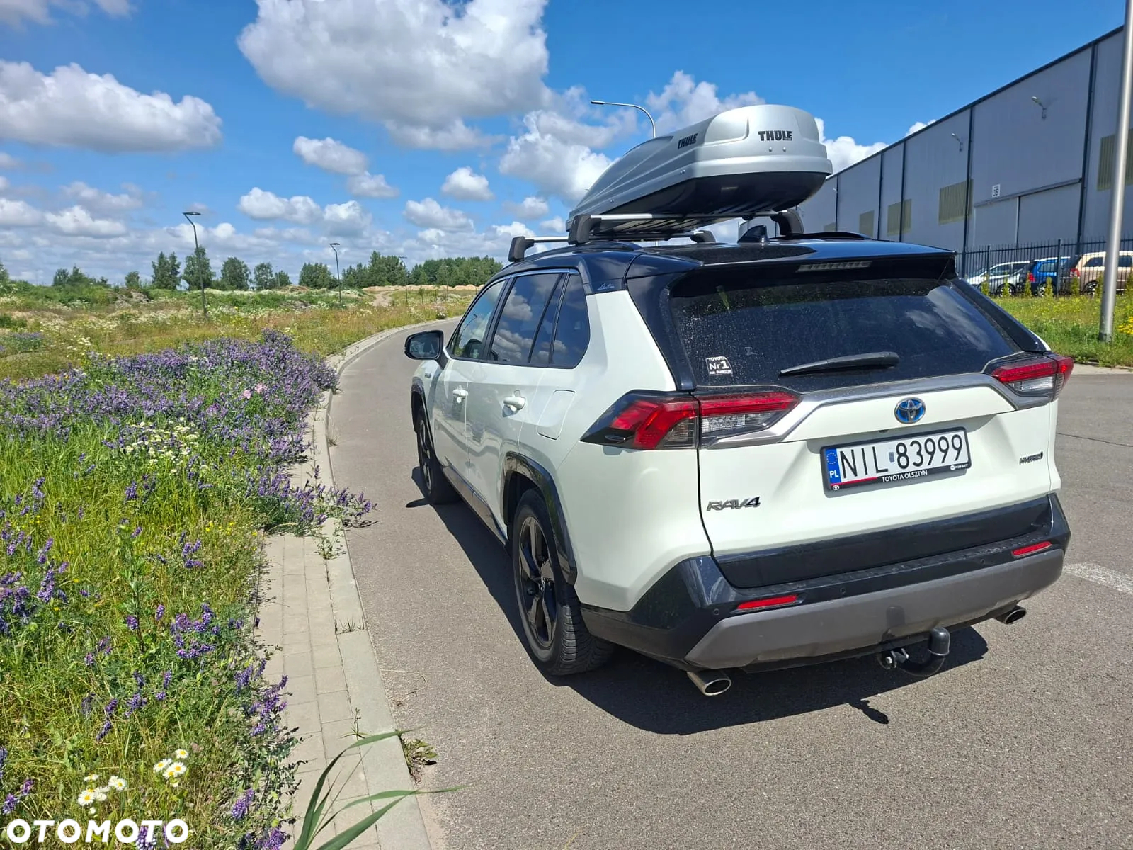 Toyota RAV4 2.5 Hybrid Selection 4x2 - 14