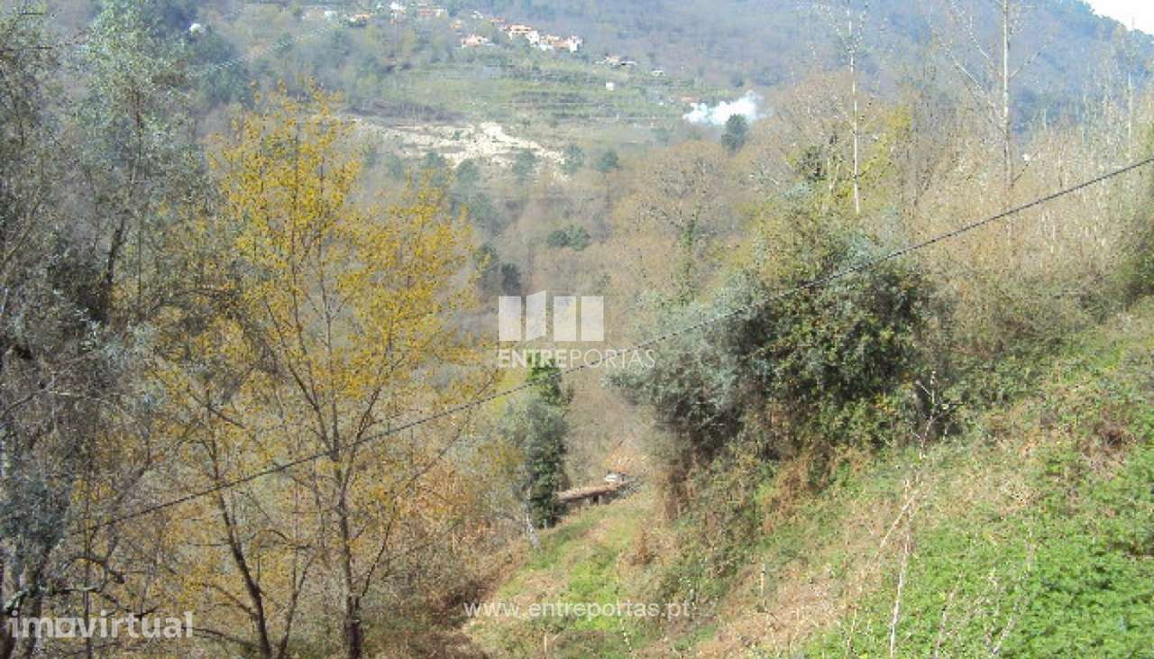 Venda Terreno, Ferreiros de Tendais, Cinfães - Grande imagem: 4/8