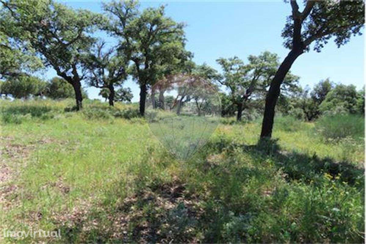 Quinta T0 para venda - Grande imagem: 5/18