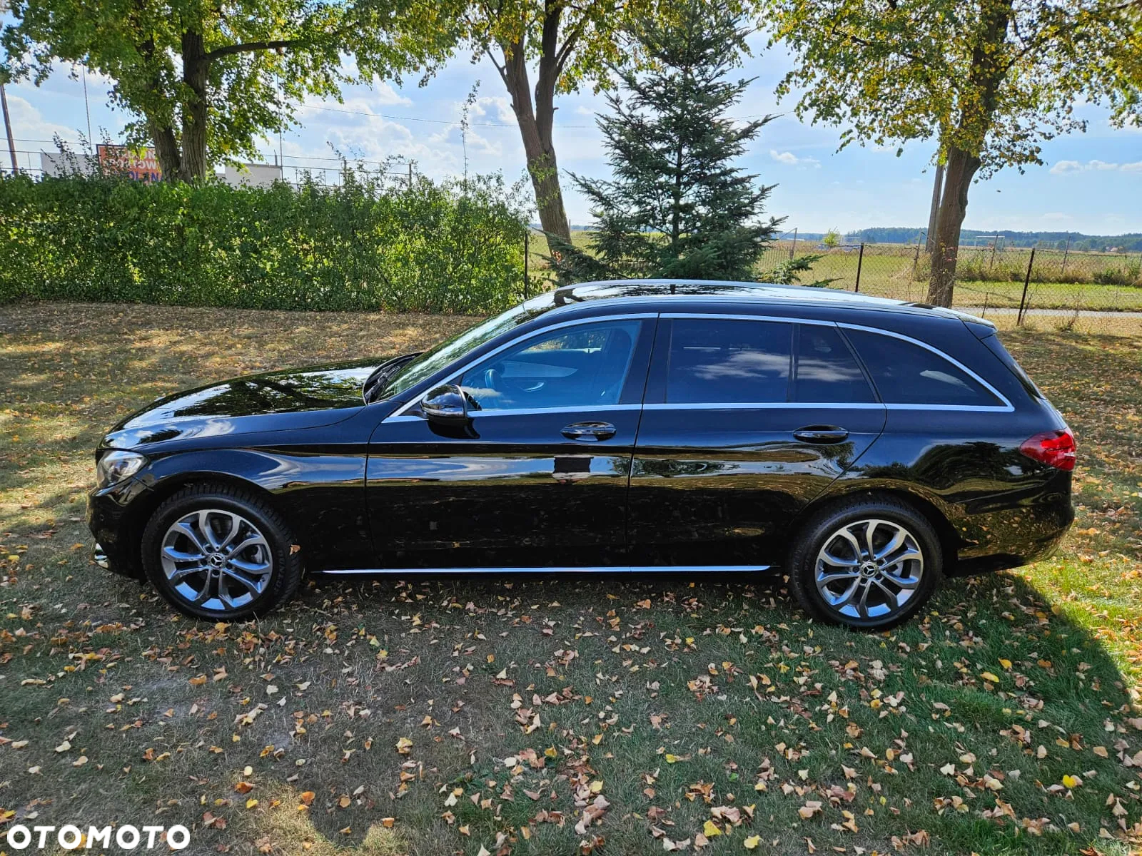 Mercedes-Benz Klasa C 250 d 4-Matic 9G-TRONIC - 13
