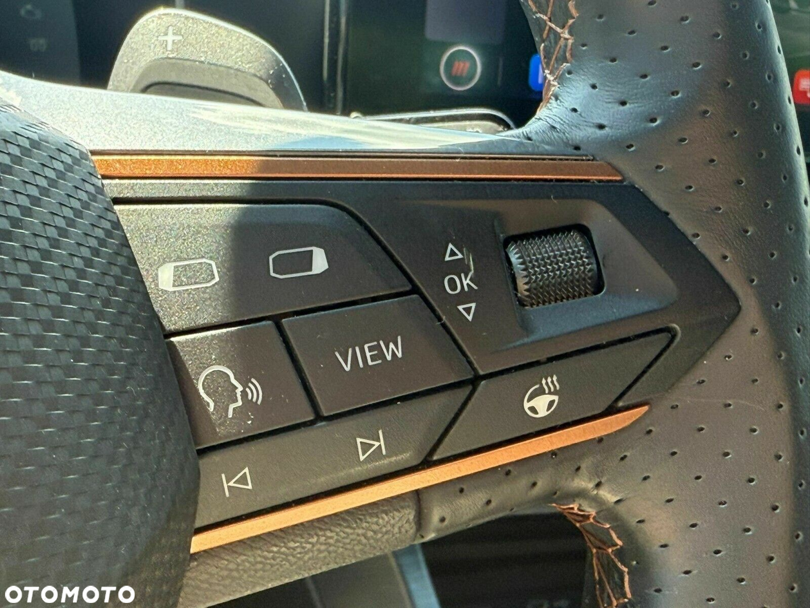 Cupra Formentor - 17