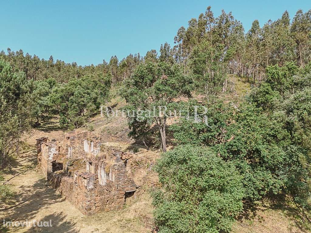Quinta de 30.000m2 com ruínas e poços na Sertã - Grande imagem: 3/32