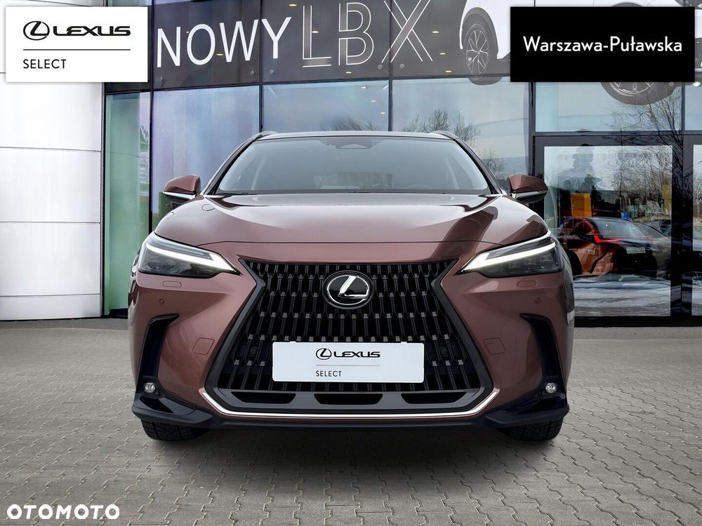 Lexus NX - 6