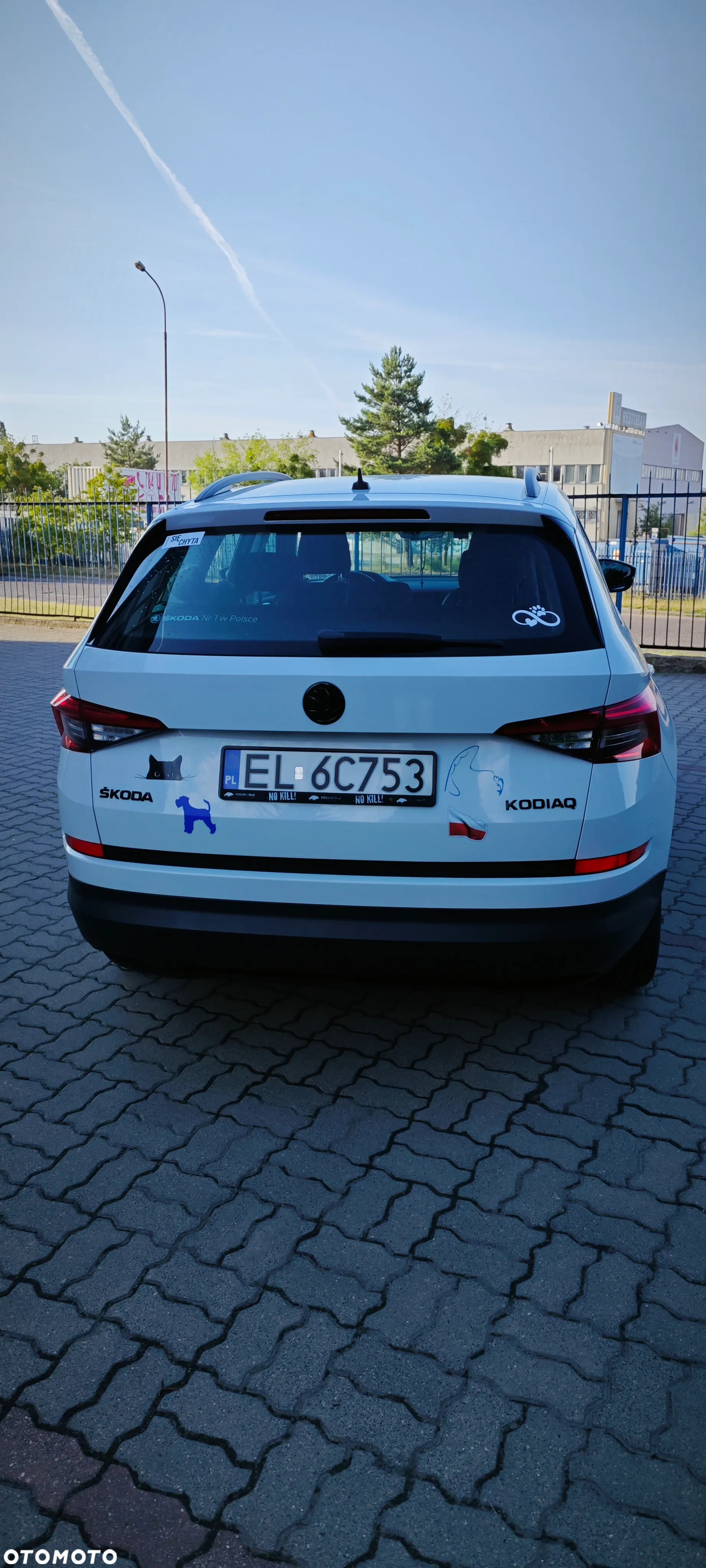 Skoda Kodiaq 2.0 TDI 4x2 Ambition DSG - 5