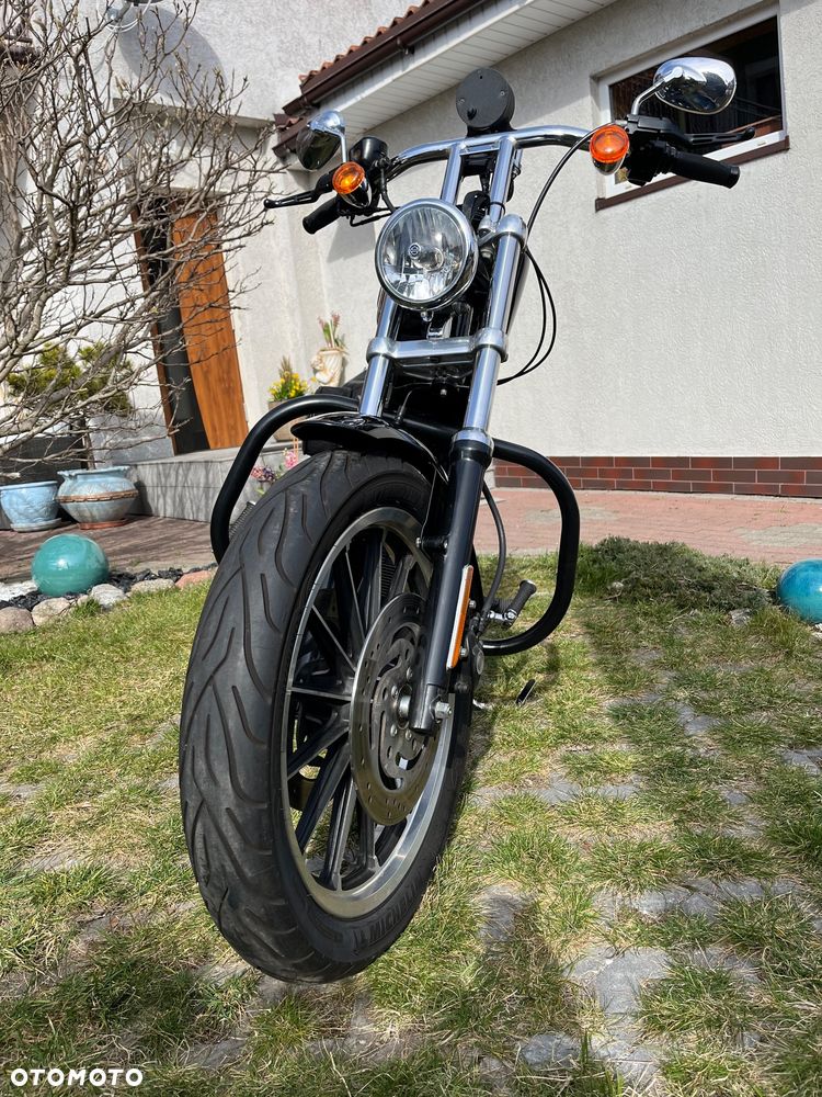 Harley-Davidson Sportster Roadster 883R - 2