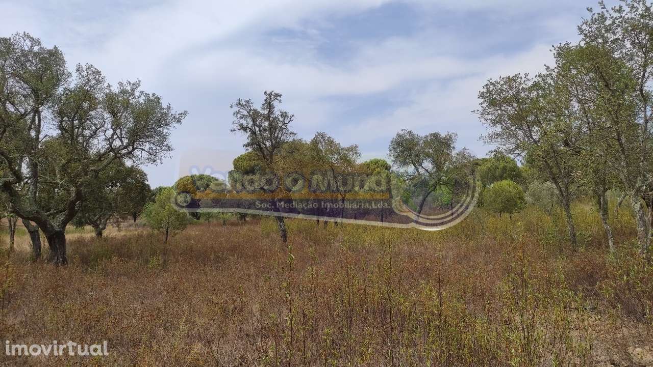 Terreno em Mora (MOR013) - Grande imagem: 4/8