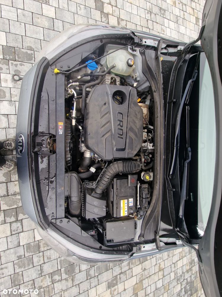 Kia Ceed - 14