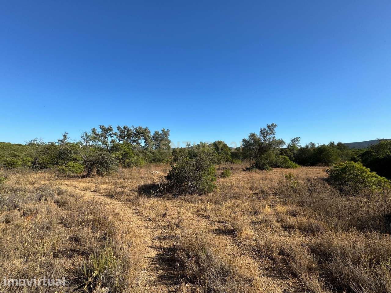 Terreno Agrícola para Venda – Santa Catarina, Tavira com 10.320 m2, - Grande imagem: 2/16