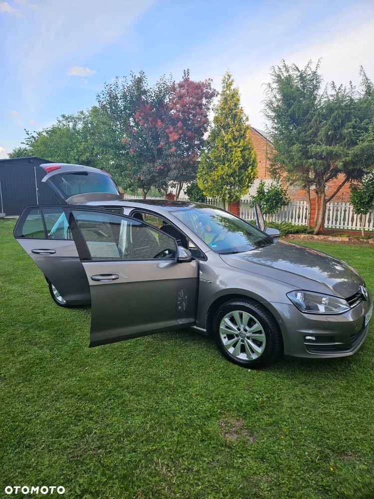 Volkswagen Golf - 14