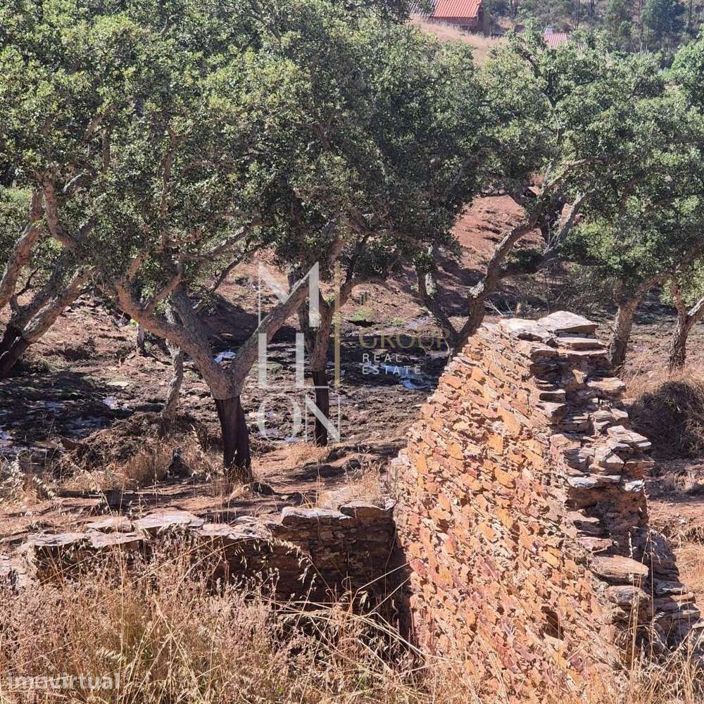 Quintinha para recuperar com uma área de 2,7 hectares com casa em ruin - Grande imagem: 2/16