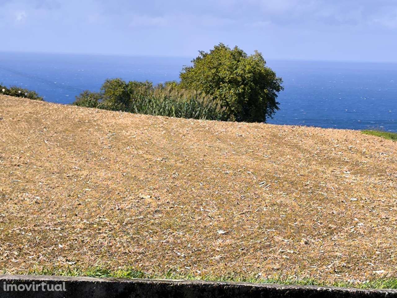 Terreno Agrícola com Viabilidade de Construção - Grande imagem: 5/7