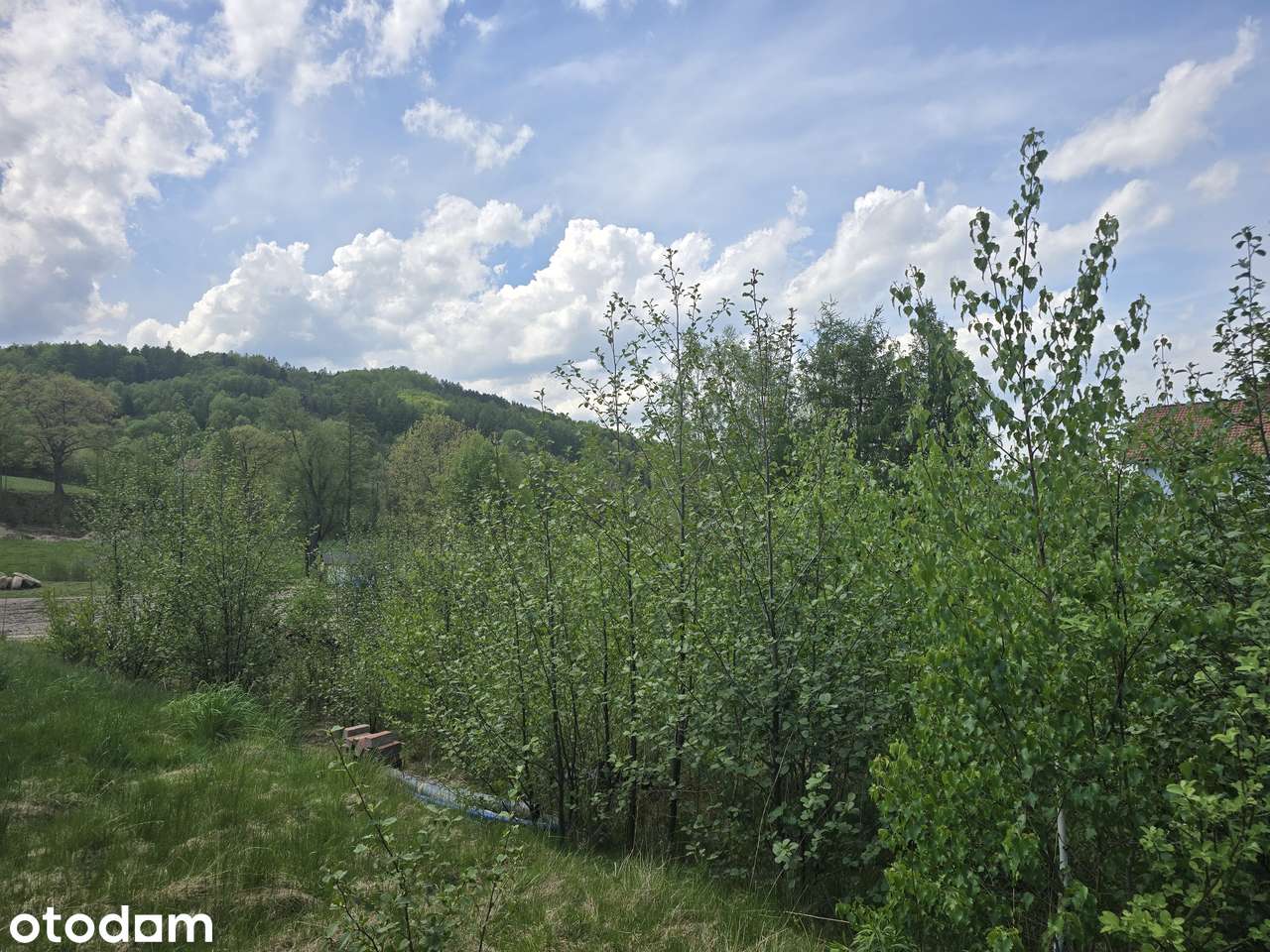 Działka budowlana 901 m² w otoczeniu natury - Pełny obrazek: 5/7