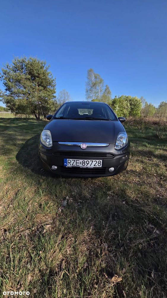 Fiat Punto - 2