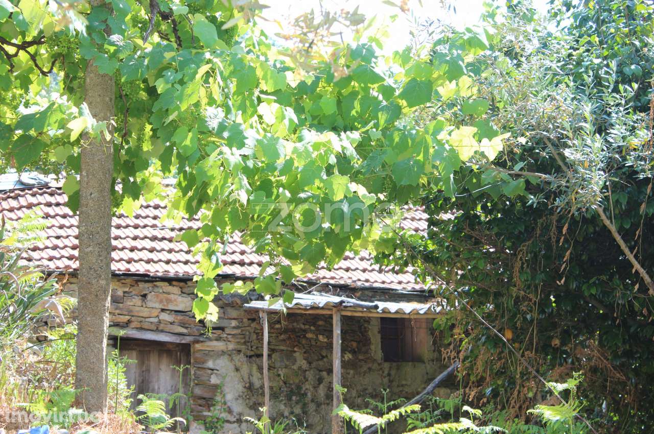 Moradia para Restaurar em Paraíso, Castelo de Paiva - Grande imagem: 5/15