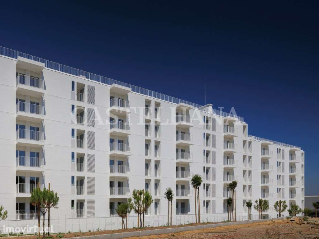 Colina do Outeiro - Grande imagem: 4/43