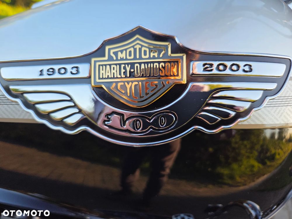 Harley-Davidson Softail Heritage Classic - 32