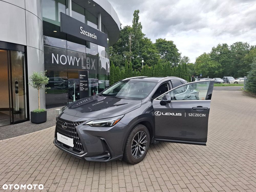 Lexus NX - 8