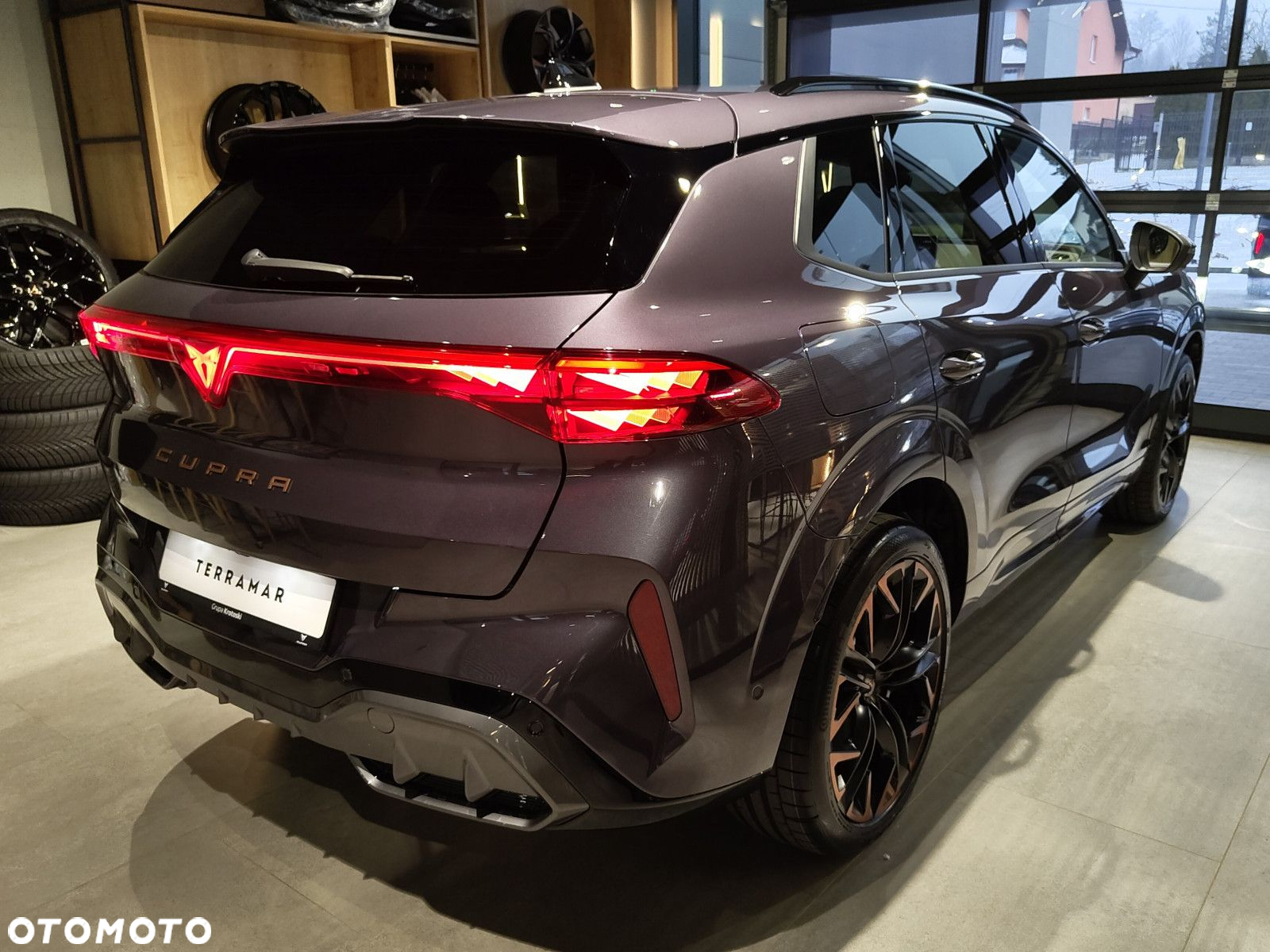 Cupra Terramar - 4