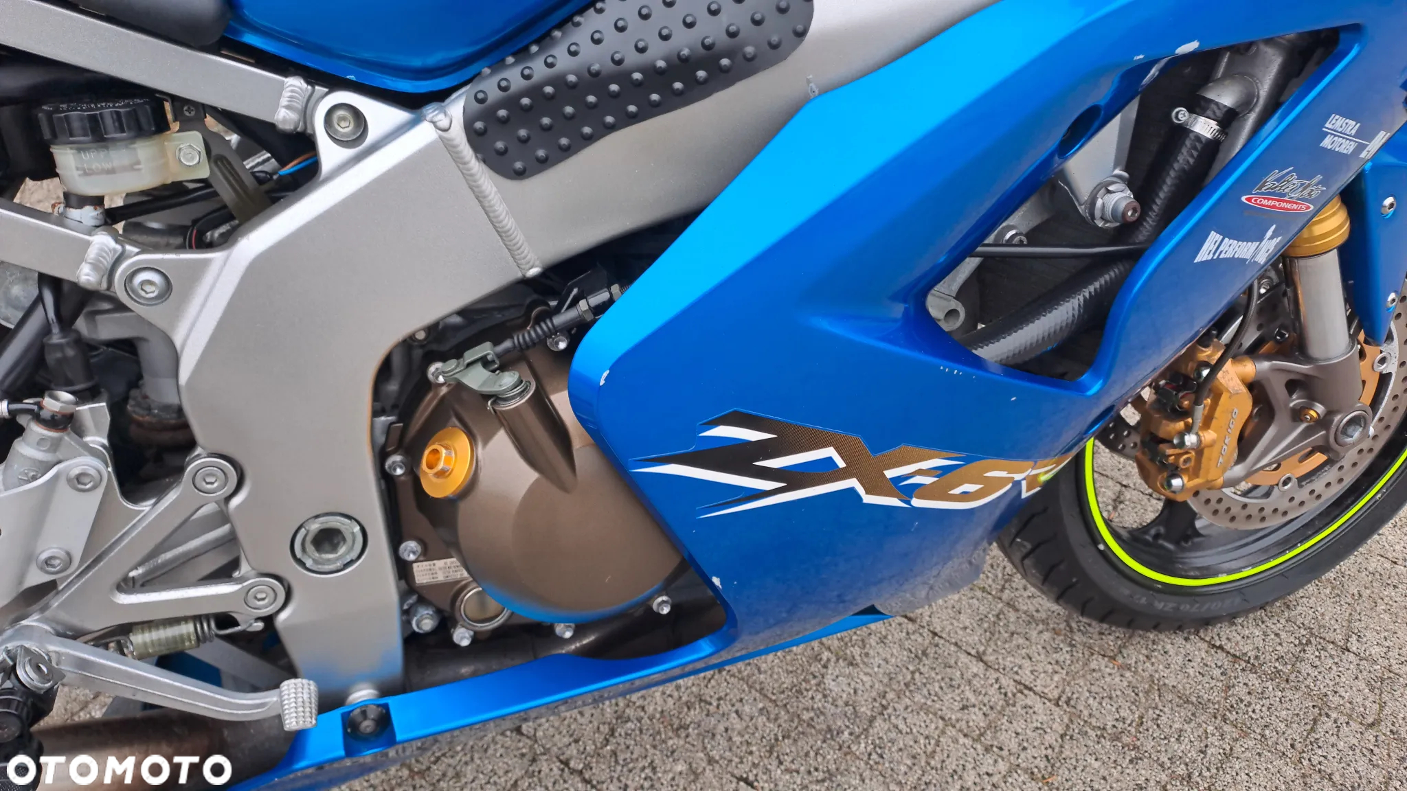 Kawasaki ZX - 31