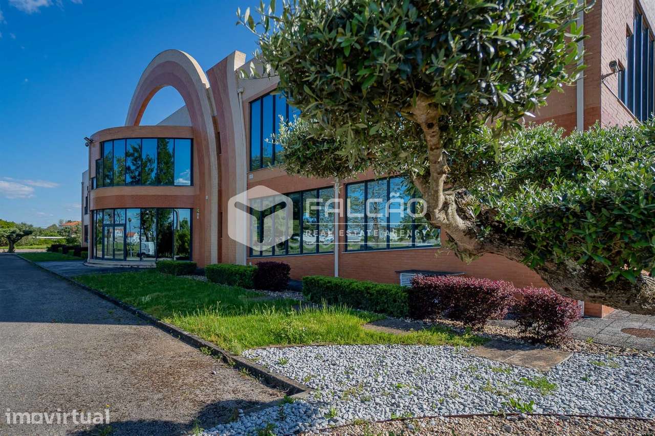 Armazém  Venda em Romeira e Várzea,Santarém - Grande imagem: 2/53