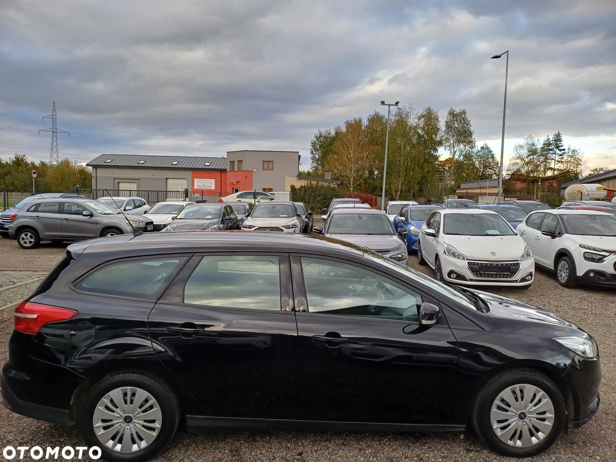 Ford Focus - 7